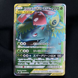 セレビィ&フシギバナGX 096/095 SR タッグチーム TAG TEAM きけんなか