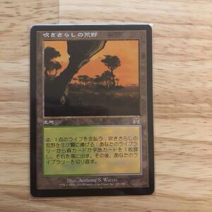 MTG 吹きさらしの荒野 Windswept Heath 日本語版 オンスロート ONS 旧
