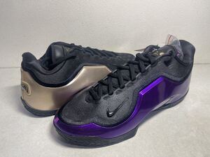 新品未使用 ナイキ レブロン 23 EP チョーズン ワン 29 0 NIKE ナイキ