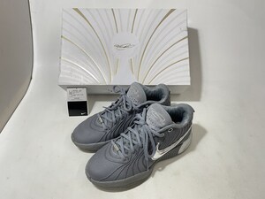J229 送料無料 美品 US8 5 26 5cm NIKE LEBRON 21 Cool Grey EP