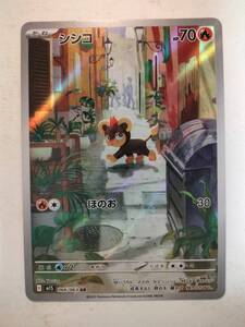 ポケモンカードゲーム シシコ ar psa10連番 シシコ（AR）| ポケモンカードゲーム通販のカードミュージアム