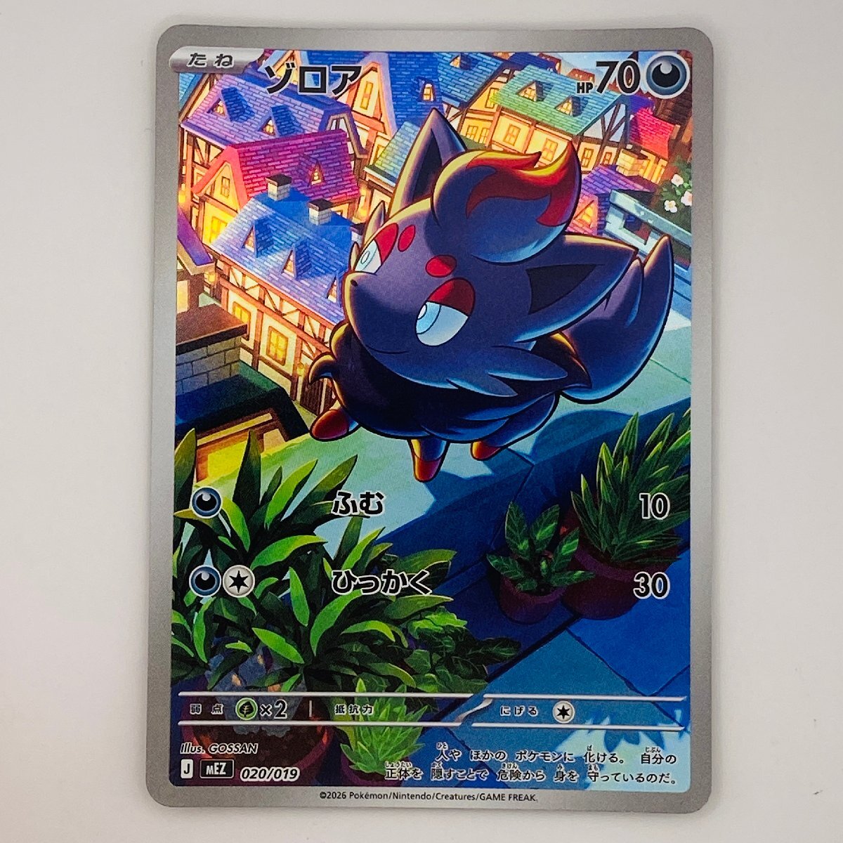 ポケモンカード ゾロア AR 020/019 ゾロア＆ゾロアークexスターター