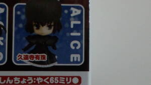 ねんどろいどぷち 久遠寺有珠 TYPE-MOONコレクション 魔法使いの夜 