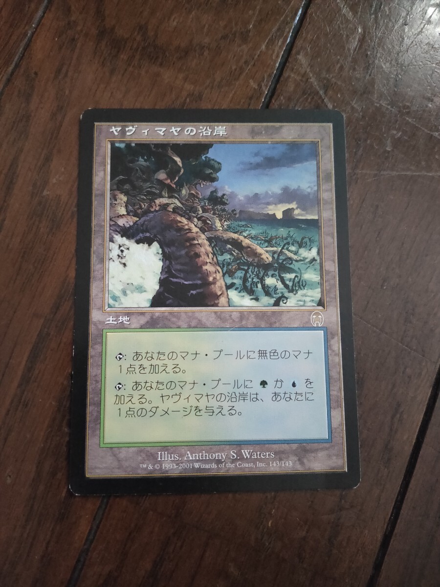 MTG ヤヴィマヤの沿岸/Yavimaya Coast APC 3枚 日本語 黒枠｜Yahoo