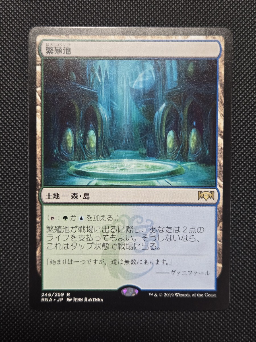 Yahoo!オークション - MTG 《繁殖池/Breeding Pool》 日本語 RNA