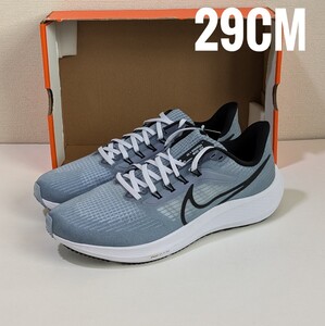 Nike Air Zoom Pegasus 39 ASHEN SLATE 29cm/US11/UK10 DH4071-401 