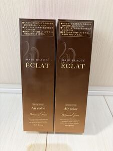 ヘアボーテ エクラ ボタニカル エアカラーフォーム ダークブラウン