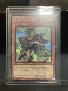 風霊使いウィン シークレット スターチップ 絵違い イラスト違い