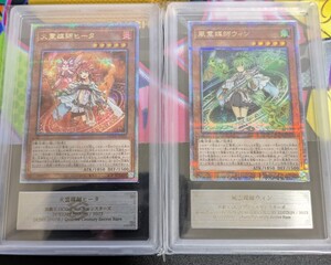PSA10 風霊媒師ウィン 25th SE[RC04-JP019](レアリティコレクション