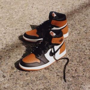 AIR JORDAN 1 RETRO HIGH OG "SHATTERED BACKBOARD"（2025） DZ5485-008 （ブラック/セイル/スターフィッシュ）
