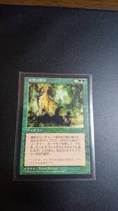 自然の秩序/Natural Order｜Yahoo!フリマ（旧PayPayフリマ）