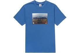 22FW 新品 Sサイズ NIKE ACG Supreme Grid Tee Blue シュプリーム