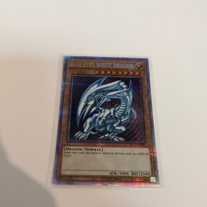 PSA10 遊戯王 青眼の白龍 英語 プリズマティックシークレット AC02
