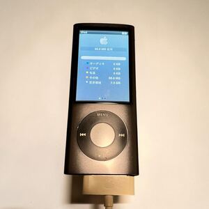 Apple iPod nano 第5世代 ブラック 8GB 充電ケーブル・ACアダプタ付
