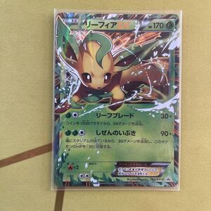 ポケモンカード リーフィアEX 192/XY-P プロモ｜Yahoo!フリマ（旧
