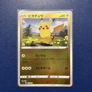 【2連番PSA10】ピカチュウ ミラー ソード＆シールド スタートデッキ100 PSA10 ピカチュウ :ミラー [MC 225/742]スタートデッキ100 - メルカリ