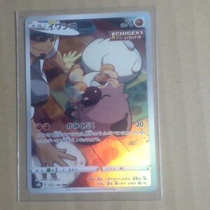 psa10 ポケモンカード イワンコ chr｜Yahoo!フリマ（旧PayPayフリマ）