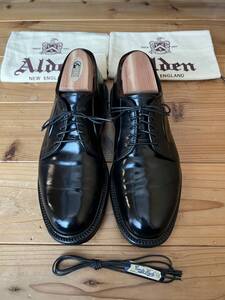 オールデン 9901（Black）