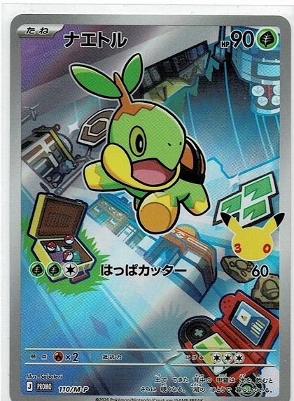 ポケモンカード ナエトル ヒコザル ポッチャマ プロモ 30周年記念