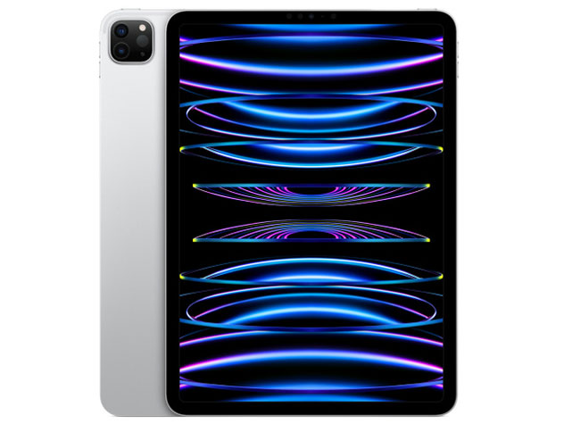 Apple iPad Pro 第4世代 11インチ 256 GB Wi-Fiモデル Apple Pencil