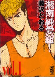 藤沢とおる 作品まとめ売り GTO全巻 湘南純愛組 全巻 バッドカンパニー