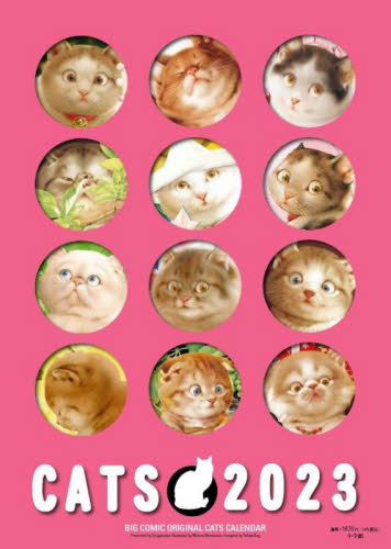 2026年最新】Yahoo!オークション - 村松(本、雑誌)の中古品・新品