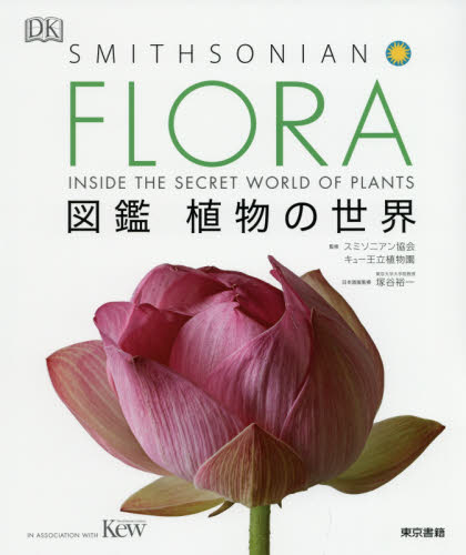 2026年最新】Yahoo!オークション - flora(本、雑誌)の中古品・新品