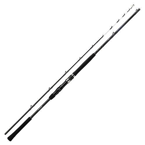 ダイワ ディーオ TSG 100-200 DAIWA DEEO 05296371 ロッド 竿 アジ