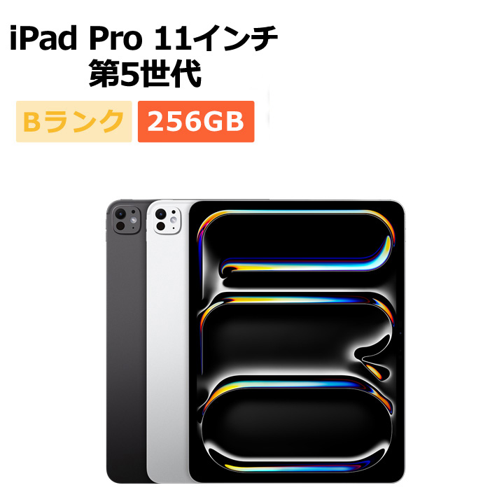 iPad Pro M4 11インチ 256GB Wi-Fi+Cellular バッテリー容量100% 超美