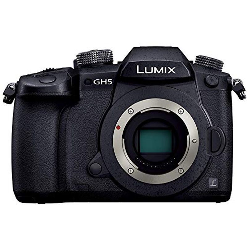 美品 Panasonic LUMIX GH5 有料「V-Log L」拡張 おまけバッテリー付き 