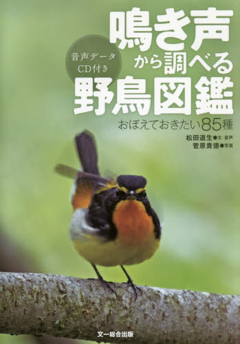 2026年最新】Yahoo!オークション - 鳴き(すべて)の中古品・新品・未