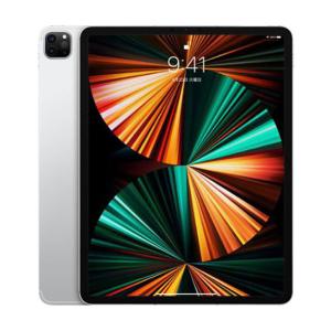iPad Pro 12 9 第5世代 Wi-Fiモデル 256GB Apple Pencil カバー 替芯