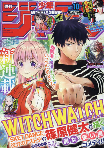 週刊少年ジャンプ 2017年36・37合併号ワンピース20周年 サイン色紙付き