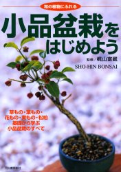 Yahoo!オークション - 小品盆栽をはじめよう＆盆栽入門マニュアル 古