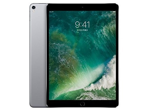 iPad Pro 10.5インチ WiーFi 256GB ジャンク扱い iPad Pro 10 5インチ Wi-Fi 256GB スペースグレイ ジャンク｜Yahoo