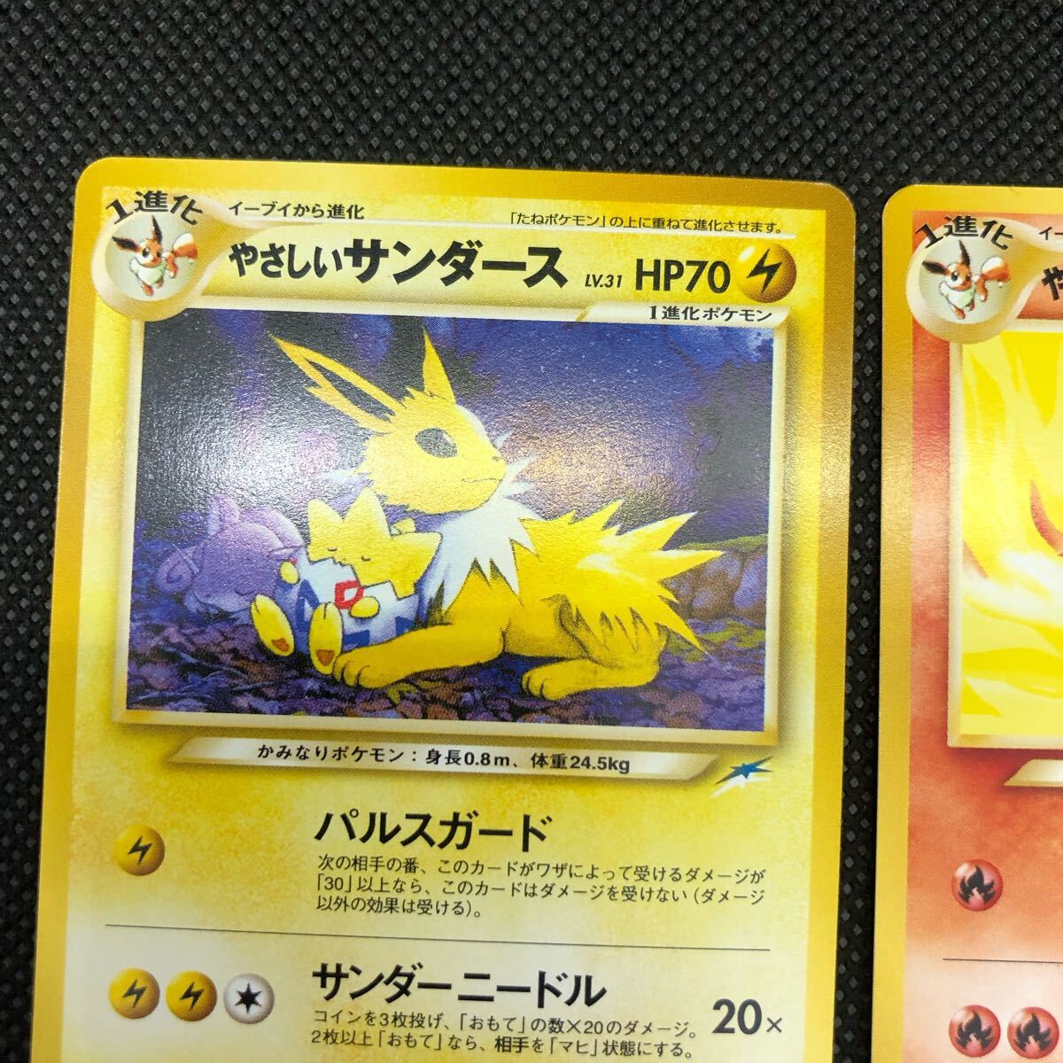 ポケモンカード 旧裏面 旧裏 やさしいシャワーズ サンダース ポケモンカード 旧裏面 旧裏 やさしいシャワーズ サンダース