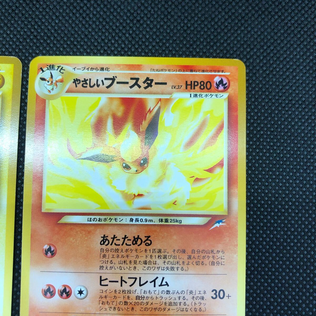 ポケモンカード 旧裏面 旧裏 やさしいシャワーズ サンダース ポケモンカード 旧裏面 旧裏 やさしいシャワーズ サンダース