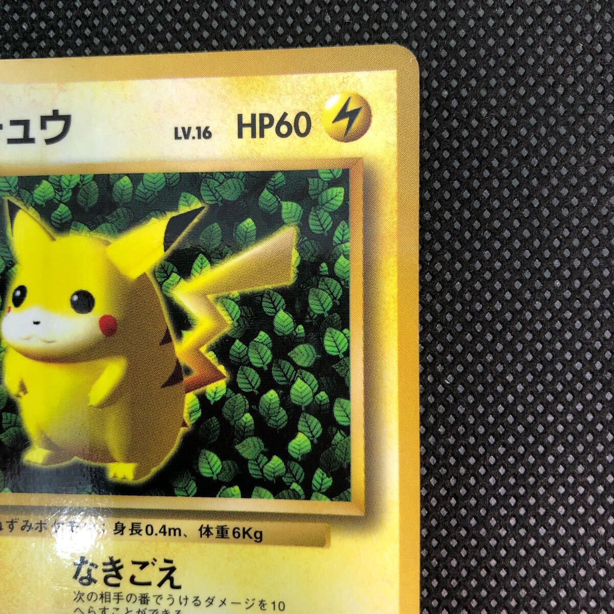 ポケモンカード 旧裏面 旧裏 ピカチュウ すぐわかるポケモン ポケモンカード 旧裏面 旧裏 ピカチュウ すぐわかるポケモン
