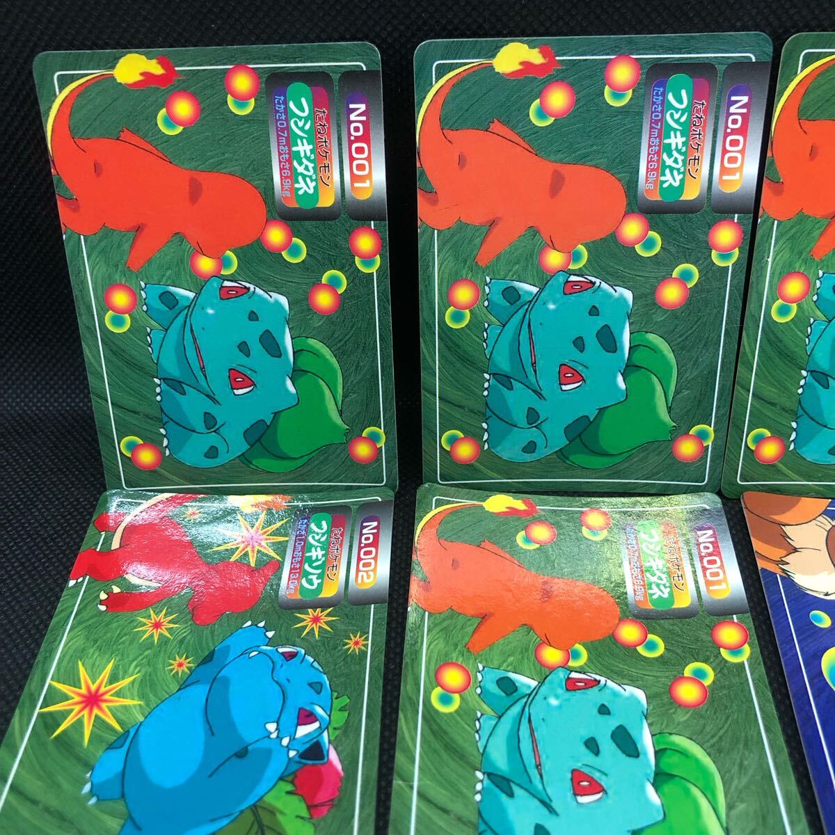 ポケモンカード トップ トップサン カード 御三家 フシギバナ ポケモンカード トップ トップサン カード 御三家 フシギバナ