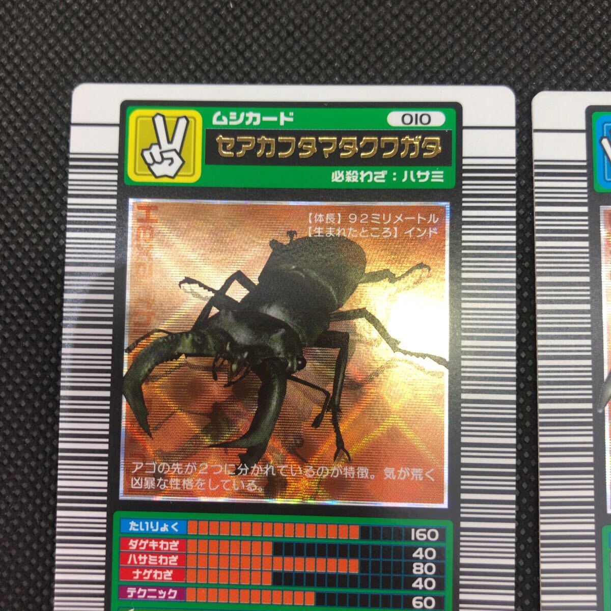 甲虫王者ムシキング ムシキングカード 2003 セアカフタマタ 甲虫王者ムシキング ムシキングカード 2003 セアカフタマタ