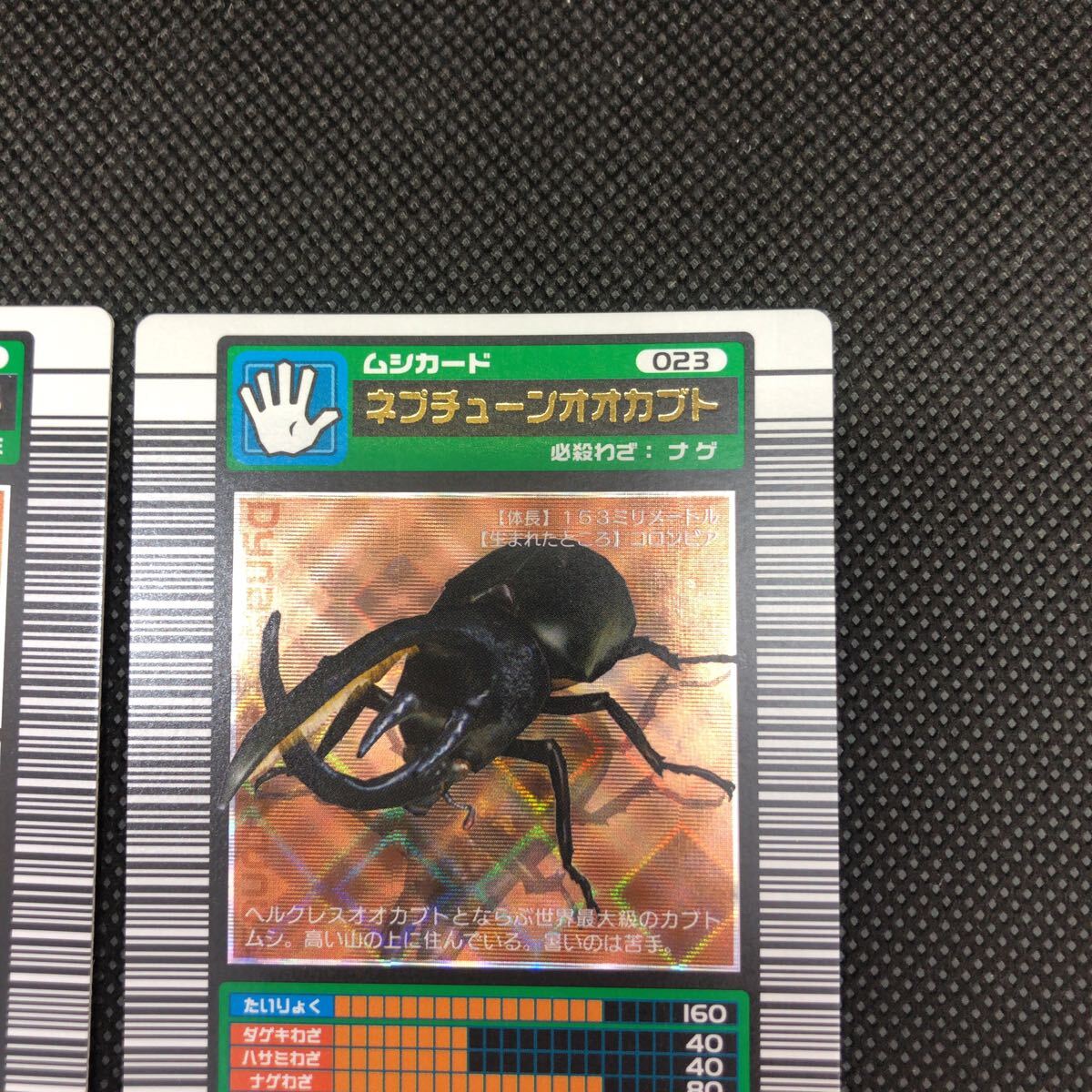 甲虫王者ムシキング ムシキングカード 2003 セアカフタマタ 甲虫王者ムシキング ムシキングカード 2003 セアカフタマタ