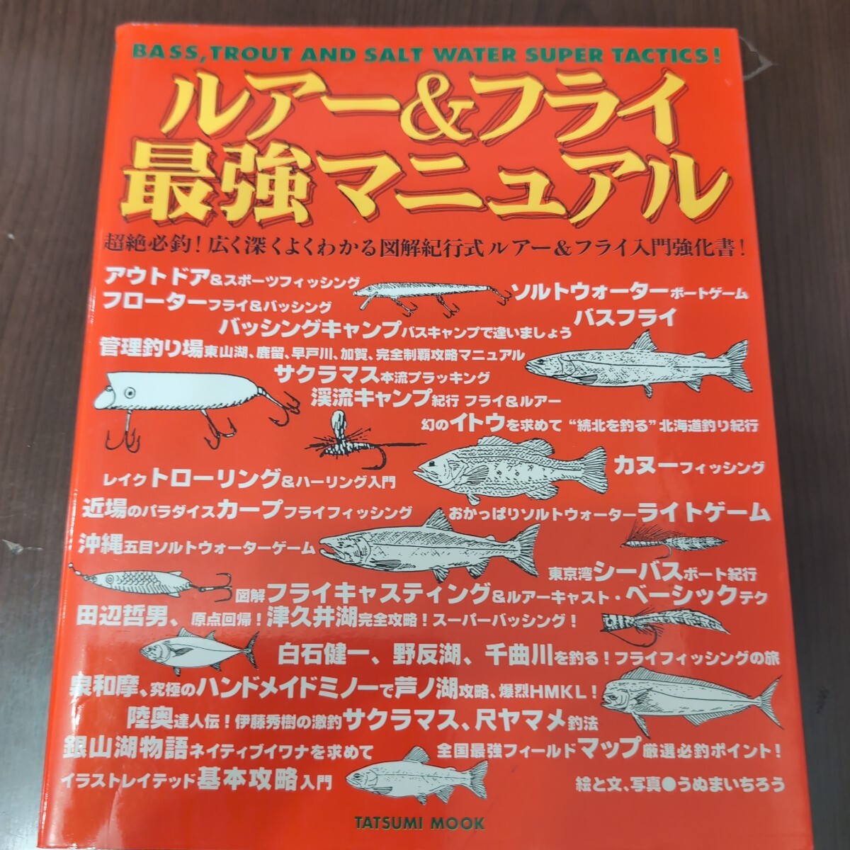 白3★☆ ルアー＆フライ　最強マニュアル　ソルト　バス　トラウト　入門　Howto　釣り ☆