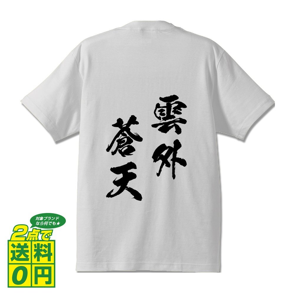 雲外蒼天 (うんがいそうてん) 書道家が書く プリント Tシャツ S M L XL XXL 120 130 140 150 G-S G-M G-L 【 四字熟語 】