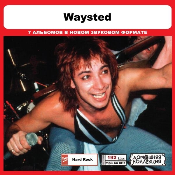 WAYSTED 大全集 MP3CD 1P◎