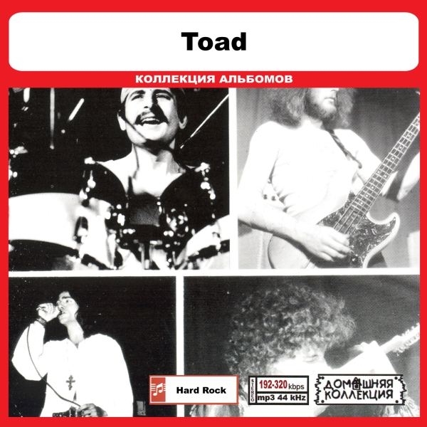 TOAD 大全集 MP3CD 1P◎