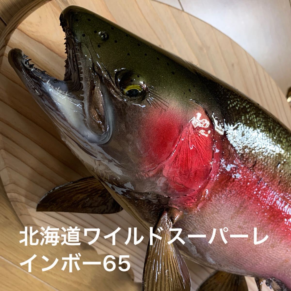 魚類剥製工房エフクラフト 幅広スーパーレインボー65 魚類剥製工房エフクラフト 幅広スーパーレインボー65