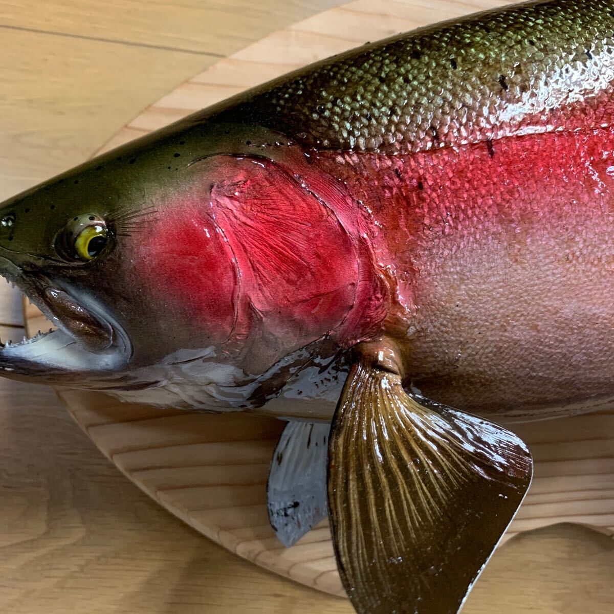 魚類剥製工房エフクラフト 幅広スーパーレインボー65 魚類剥製工房エフクラフト 幅広スーパーレインボー65