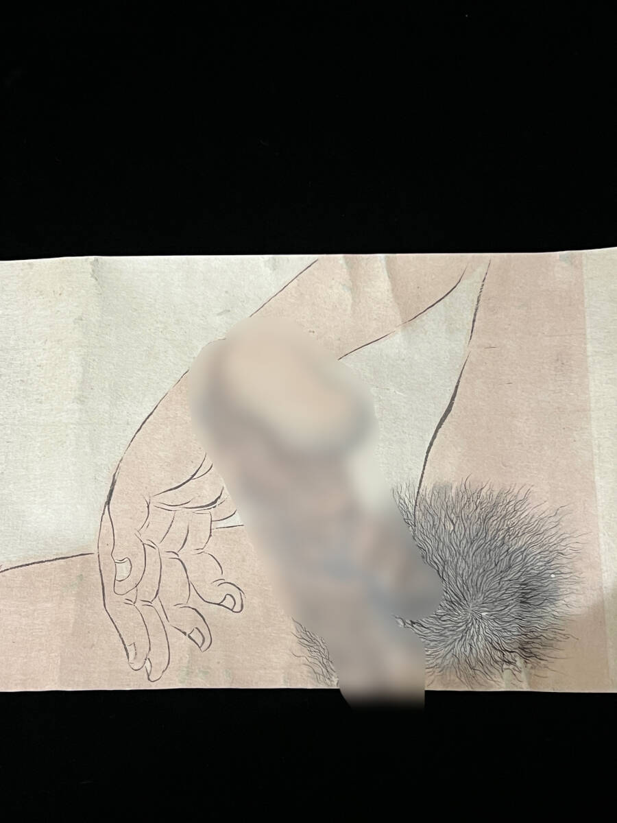 希少 まさしく珍品 局部春画 絵巻全二十図 浮世絵 春画 [検索 希少 まさしく珍品 局部春画 絵巻全二十図 浮世絵 春画 [検索