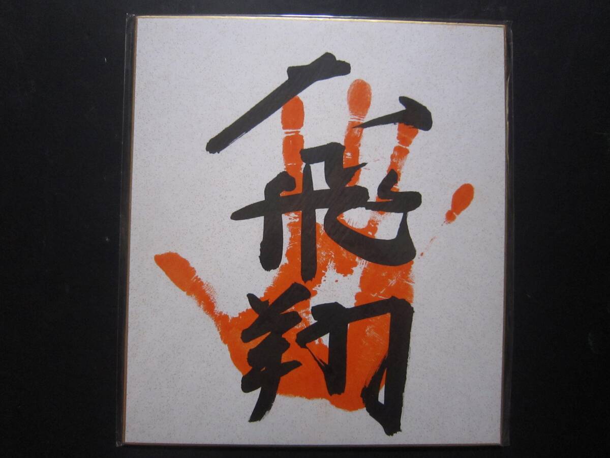 大相撲　大飛翔　前頭　手形　サイン　556