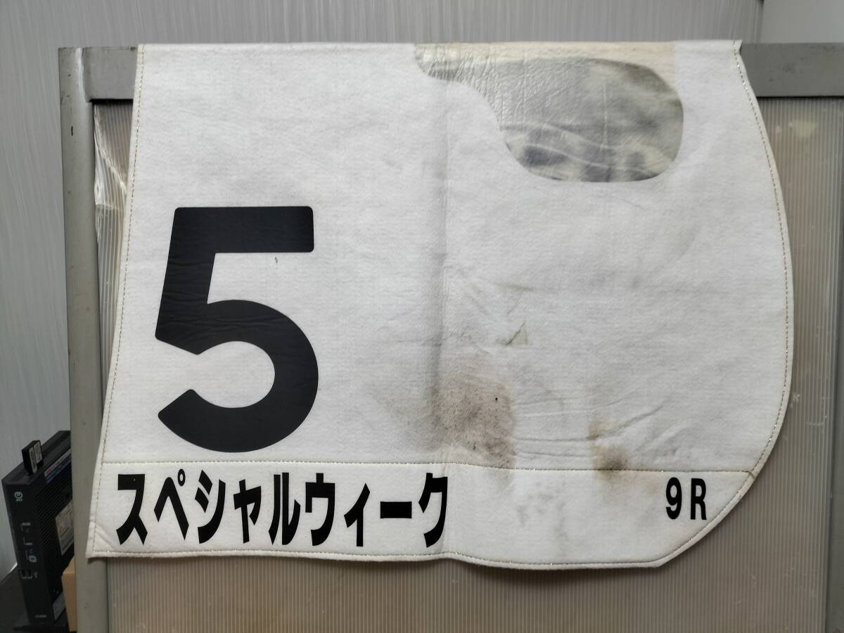 スペシャルウィーク 武豊直筆サイン入り G1 第65回東京優駿 日本 スペシャルウィーク 武豊直筆サイン入り G1 第65回東京優駿 日本
